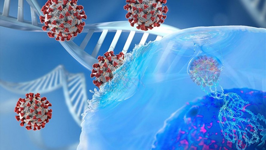 Pháp phát hiện biến chủng SARS-CoV-2 mới có khả năng “qua mặt” xét nghiệm PCR